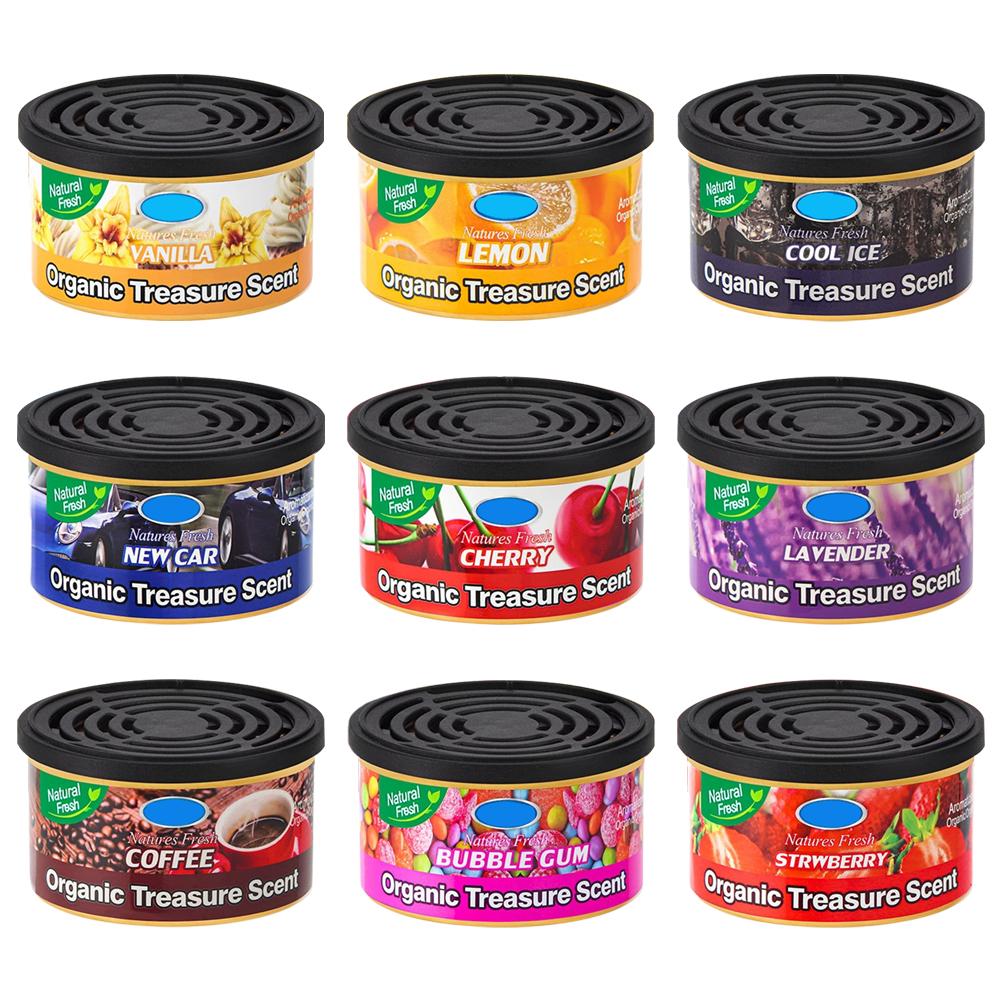 Latas ambientadoras para coche - Home Fragrance Non Toxic reseña y precio