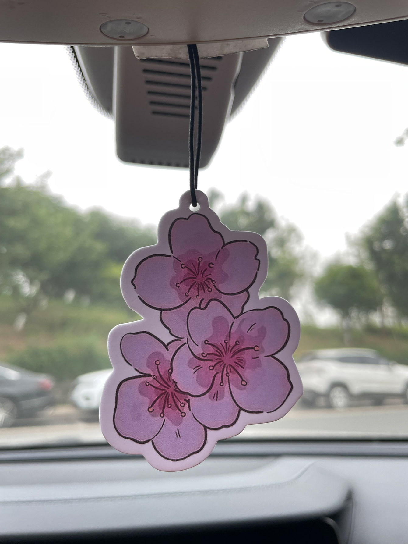 Perfume para Auto de Cinco Est - Home Fragrance Non Toxic reseña y precio